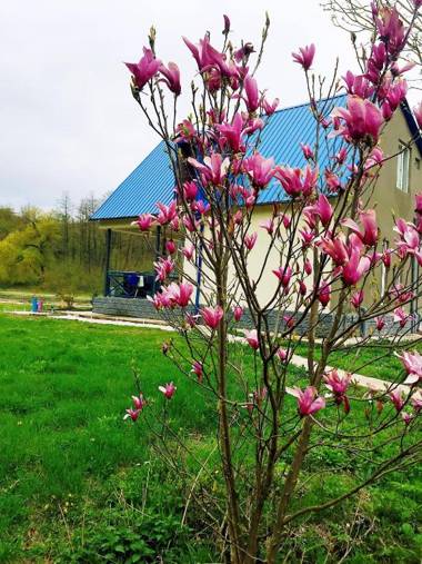 Villa Okhomira / აგარაკი ოხომირა