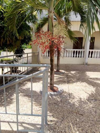 Jackson Guesthouse Anomabo