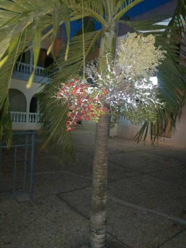 Jackson Guesthouse Anomabo