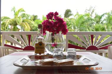 Nid tropical pour deux