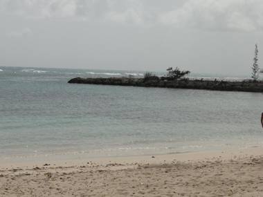 Studio Corail Rez de Jardin