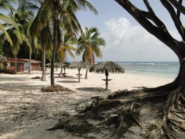 Studio Corail Rez de Jardin