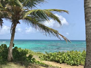Ti.Maanga Vue Mer Pieds Dans L'Eau