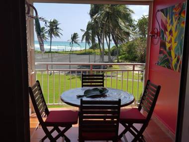 L'oiseau du Paradis vue mer