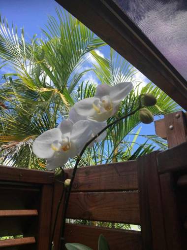 Hotel et villa chez Flo