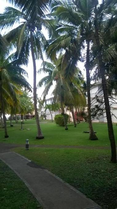 Cocotiers et pieds dans l'eau