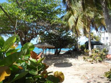 studio "BLEU TURQUOISE"