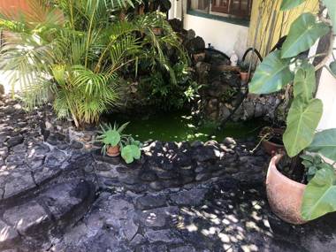 Studio avec jardin clos et wifi a Basse Terre