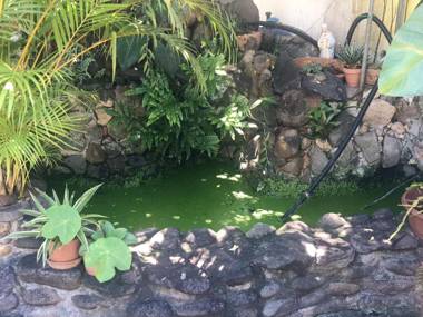 Studio avec jardin clos et wifi a Basse Terre