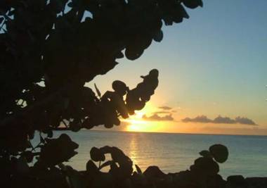 Maison de 2 chambres avec terrasse amenagee a Bouillante a 2 km de la plage