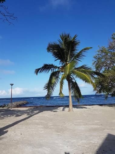 Les cottages de roseau