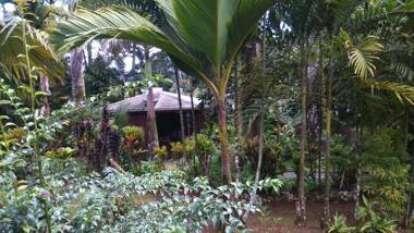 Les Gîtes de la Lézarde