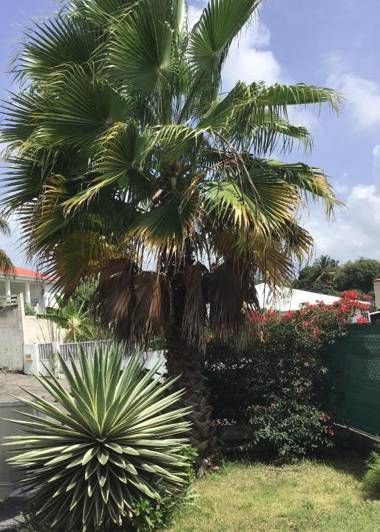 Appartement Shenandoah