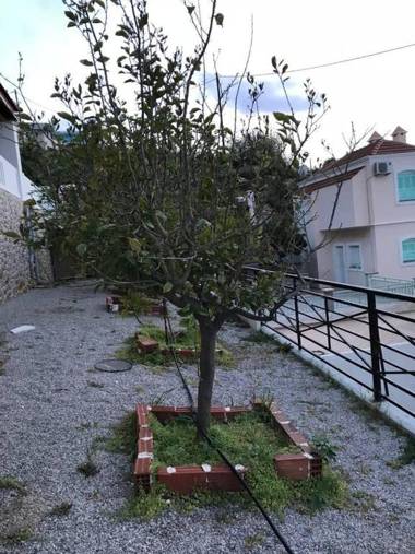 amazing apartment in the heart of masouri