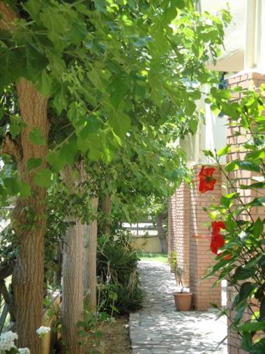 Nancy - Chara Apartments