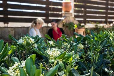 Villa Georgia Apartments & Suites