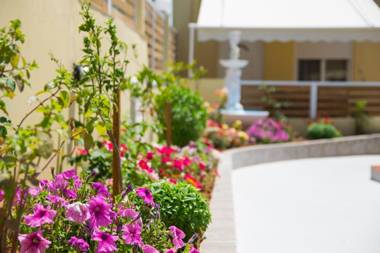 Sunset Apartments Free shuttle from Athens Airport