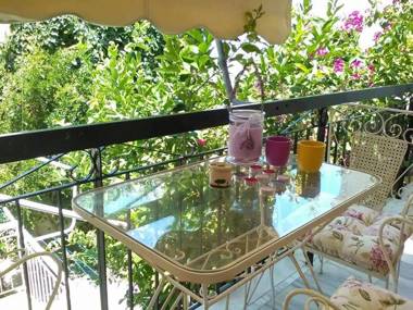 Aegina's Flowers house