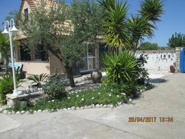 Spacious chalet on a plot of 4000m2 with fruit trees near the beach in Messinia