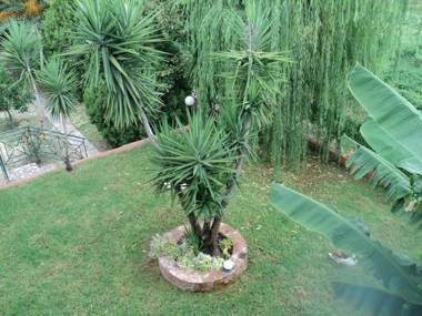 Anastasis Apartments