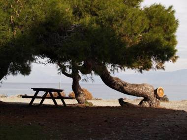 Le Convivial - Wine and Spa Experience Suites