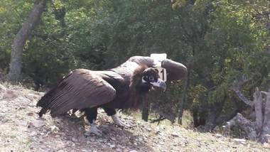 Hotel-Apartments La Strada