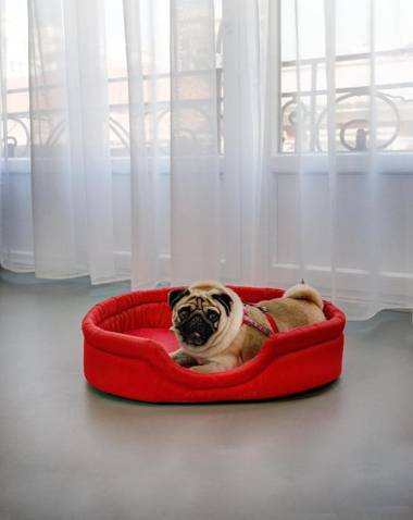 Colors Ladadika Thessaloniki