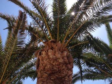 Nautica Hotel Apartments