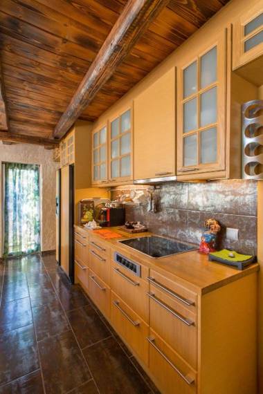 Turdus Merula Retreat