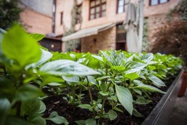 Deluxe Boutique Hotel Palea Poli