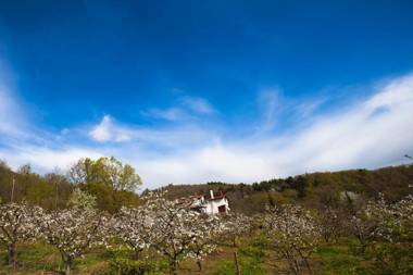 Militsa Guesthouse