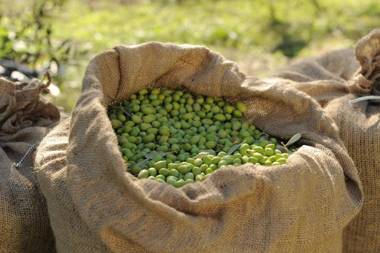 Angela's House Hotel