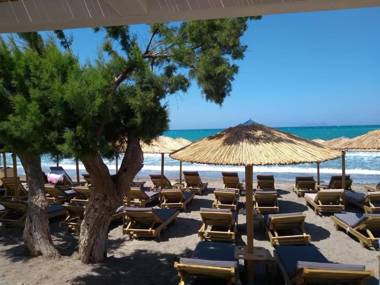 Golden Sun Apartments