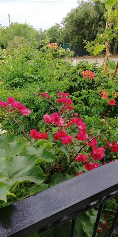 Bousounis Apartments