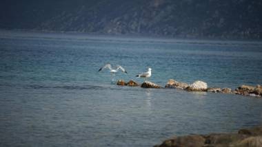 Belvedere Suites Korfos