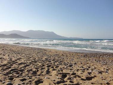 Sunny Bay