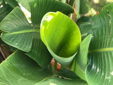 Creta Blue Boutique Hotel