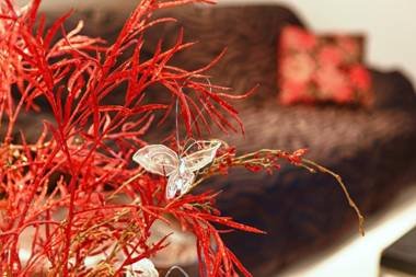 Stella Paradise "by Checkin"