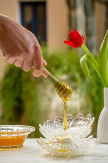 Casa Delfino Hotel & Spa