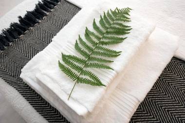 Merchant Liston Suite