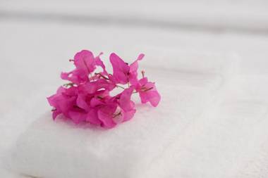 Theotoki Liston Suite