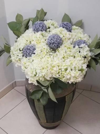 Hotel Europa - Family and Senior Friendly