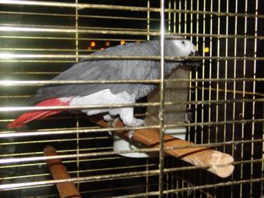 Arolithos Traditional Village Hotel