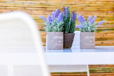 Ariadne Cozy Beautiful Studio