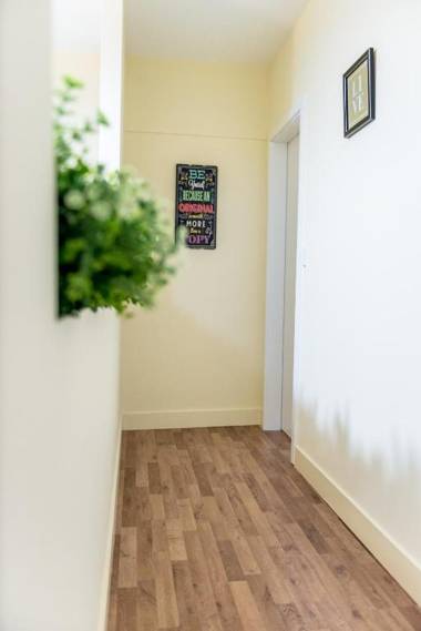 Enattica Syntagma Living