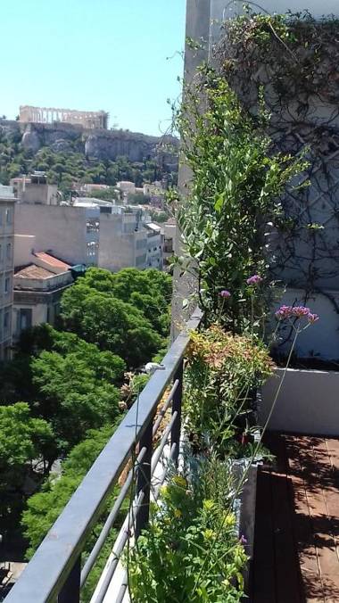 Hidesign Athens Art Loft Penthouse Acropolis View