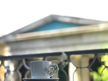 Apartment Hadrian in Historic Center of Plaka