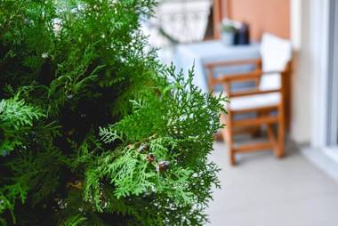 Two bedroom apartment in Kesariani