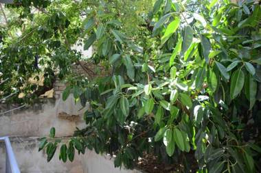 Central quiet & green oasis close to transport