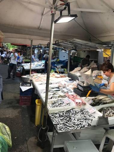 Central quiet & green oasis close to transport